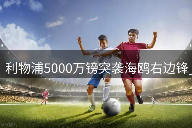 利物浦5000万镑突袭海鸥右边锋 大巴黎双翼不要了？